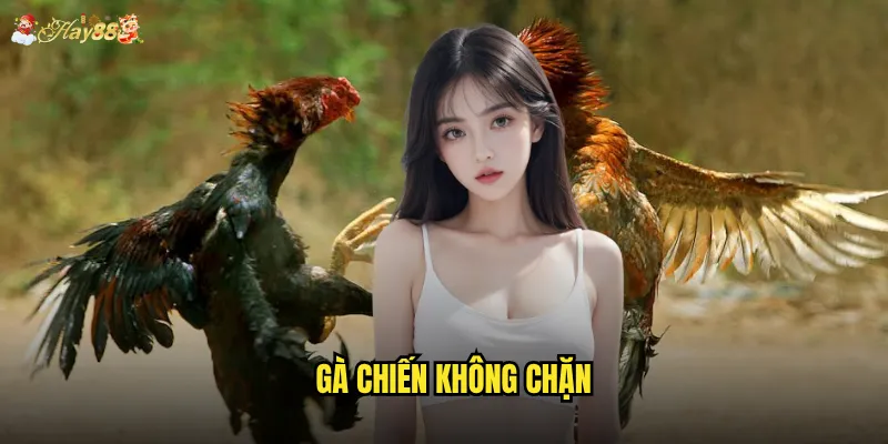 Gà Chiến Không Chặn hay88 có phải là trải nghiệm đỉnh cao nhất? 7 Gà Chiến Không Chặn