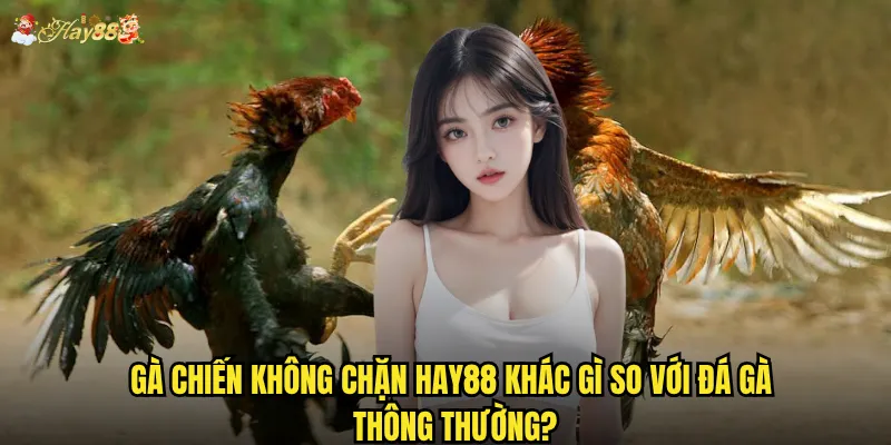 Gà Chiến Không Chặn hay88 khác gì so với đá gà thông thường?