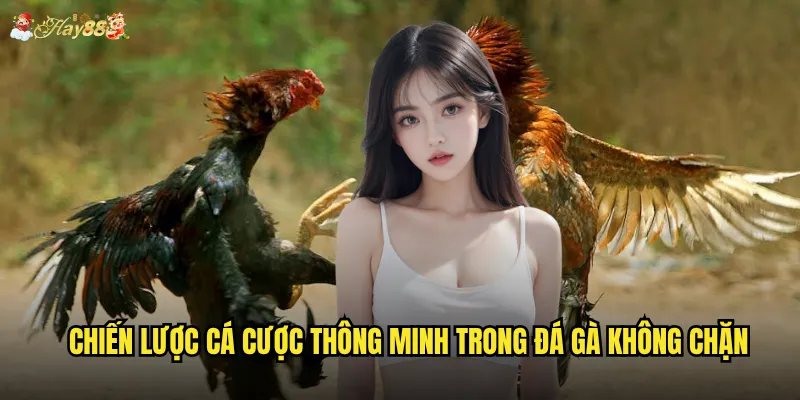 Chiến lược cá cược thông minh trong đá gà không chặn