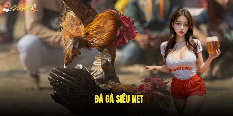 Đá Gà Siêu Net hay88 có xứng danh là công nghệ tương lai không? 6 Đá Gà Siêu Net