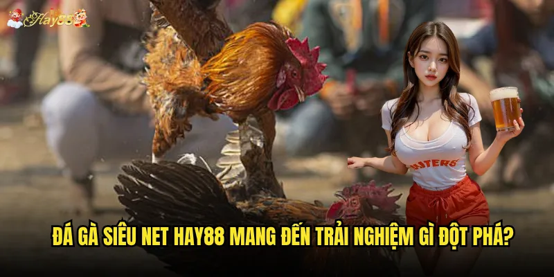Đá Gà Siêu Net hay88 mang đến trải nghiệm gì đột phá?