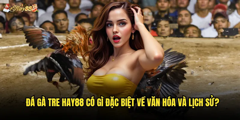 Đá gà tre hay88 có giữ được nét truyền thống Việt Nam? 2 Đá gà tre hay88 có gì đặc biệt về văn hóa và lịch sử?