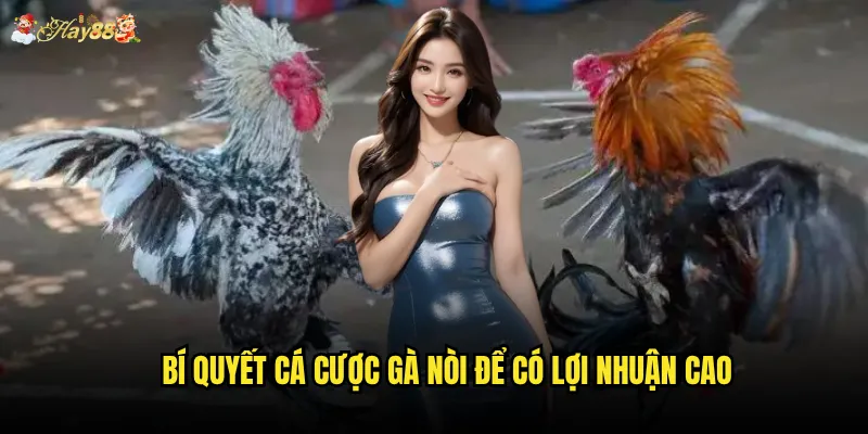 Bí quyết cá cược gà nòi để có lợi nhuận cao