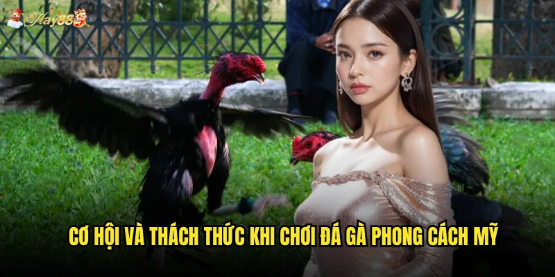 Cơ hội và thách thức khi chơi đá gà phong cách Mỹ