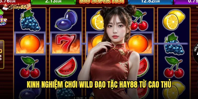 Kinh nghiệm chơi Wild đạo tặc hay88 từ cao thủ